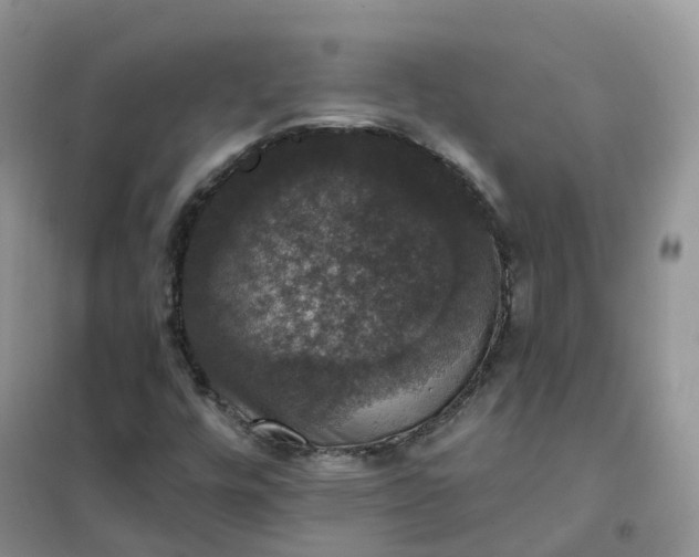 X0000102041448200808011459