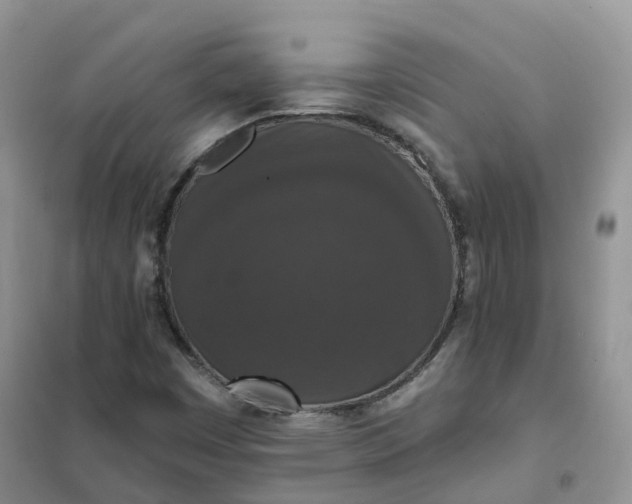 X0000102041449200808011459