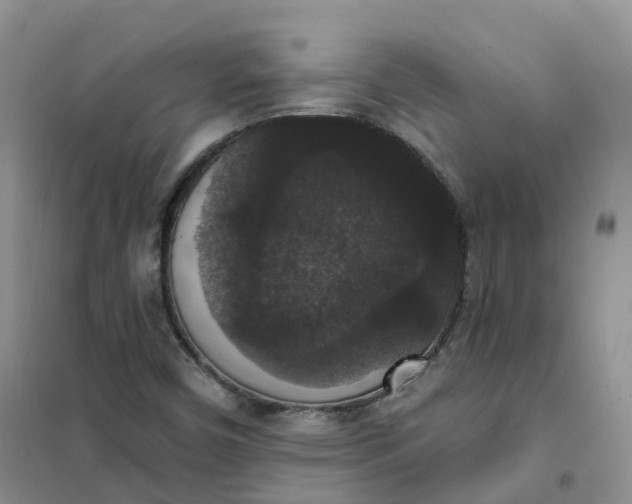 X0000102041450200808011459