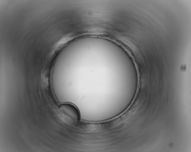 X0000102041451200808011459