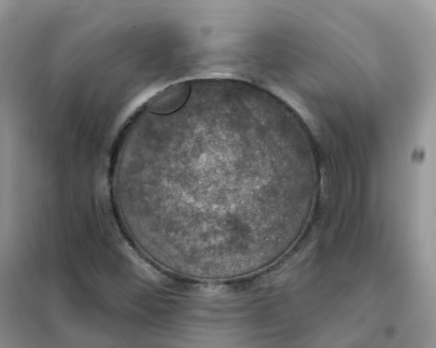 X0000102041452200808011459