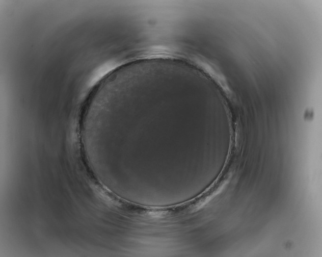 X0000102041453200808011459