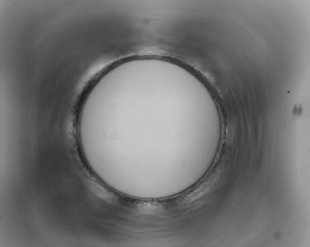 X0000102041454200808011459