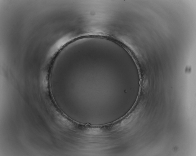 X0000102041455200808011459