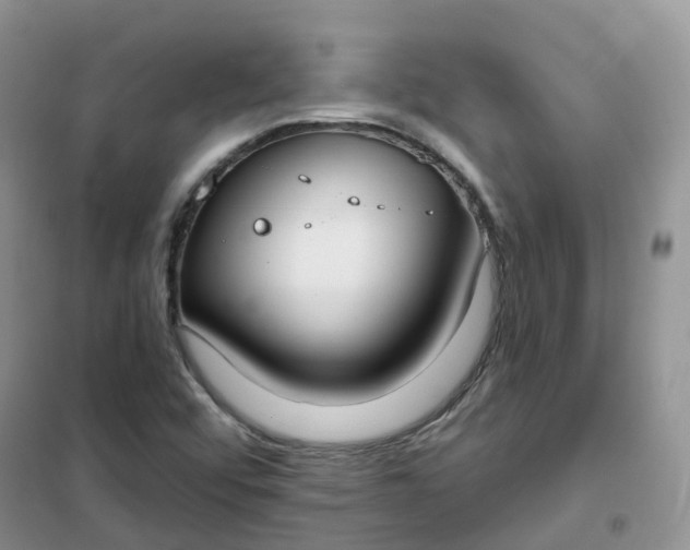 X0000102041456200808011459