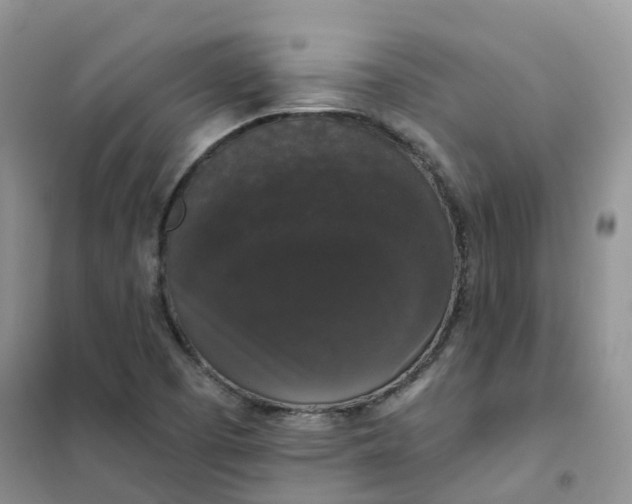 X0000102041457200808011459