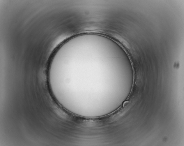 X0000102041458200808011459