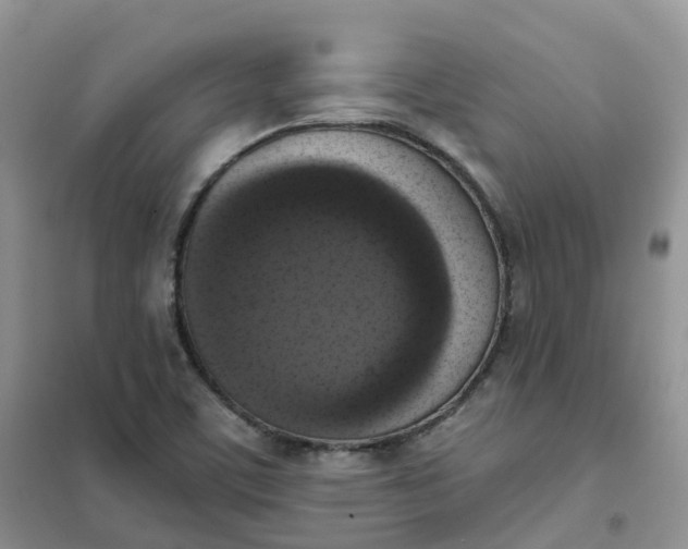 X0000102041459200808011459