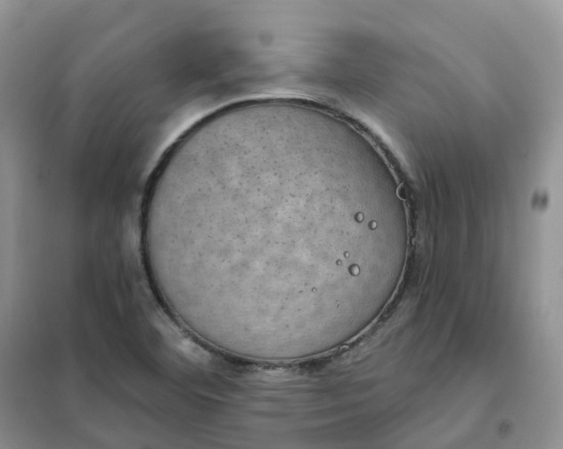 X0000102041460200808011459