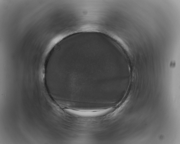 X0000102041461200808011459