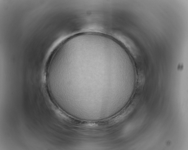 X0000102041462200808011459