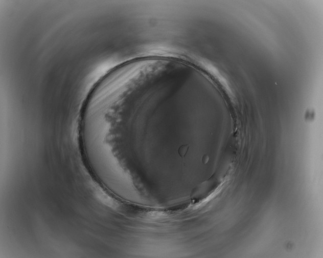 X0000102041463200808011459