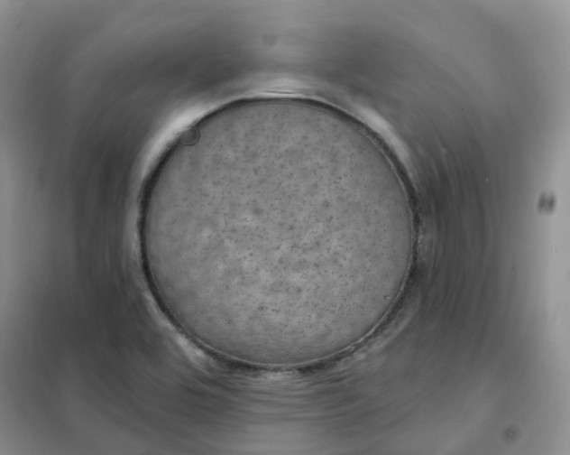 X0000102041464200808011459