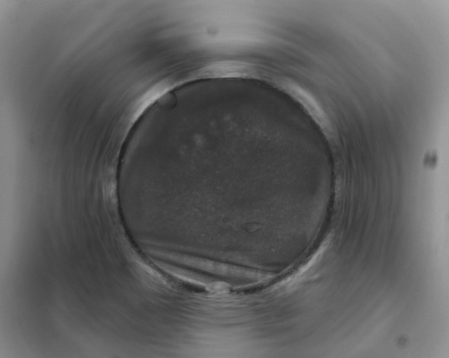 X0000102041465200808011459