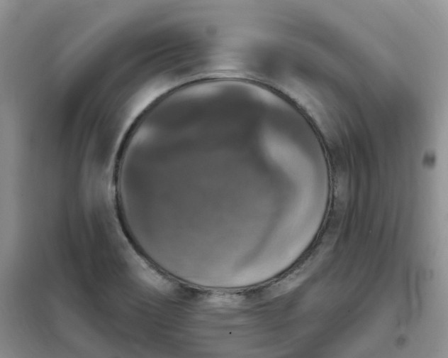 X0000102041466200808011459