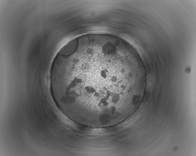 X0000102041467200808011459