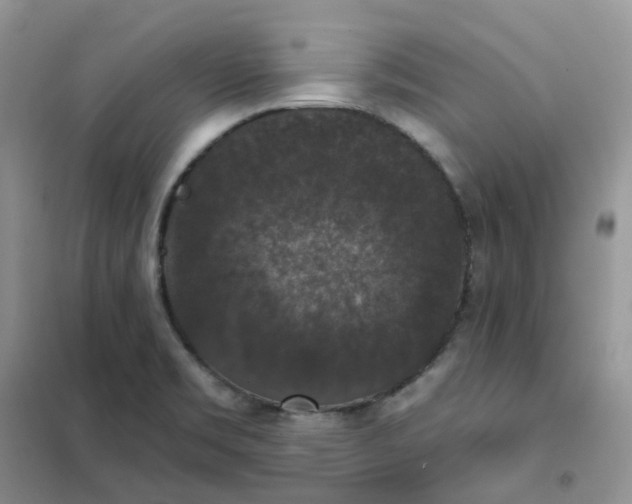 X0000102041469200808011459