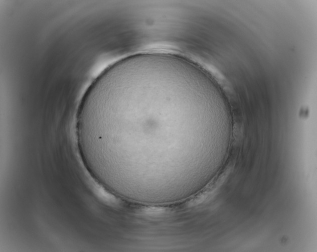 X0000102041470200808011459