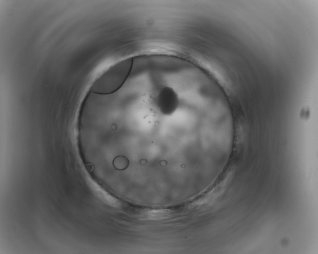 X0000102041471200808011459