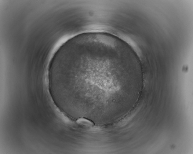 X0000102041472200808011459