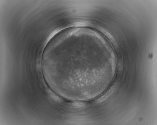 X0000102041473200808011459