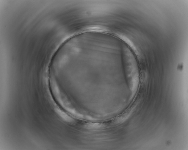 X0000102041474200808011459