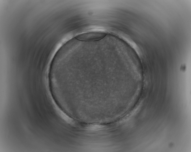 X0000102041475200808011459