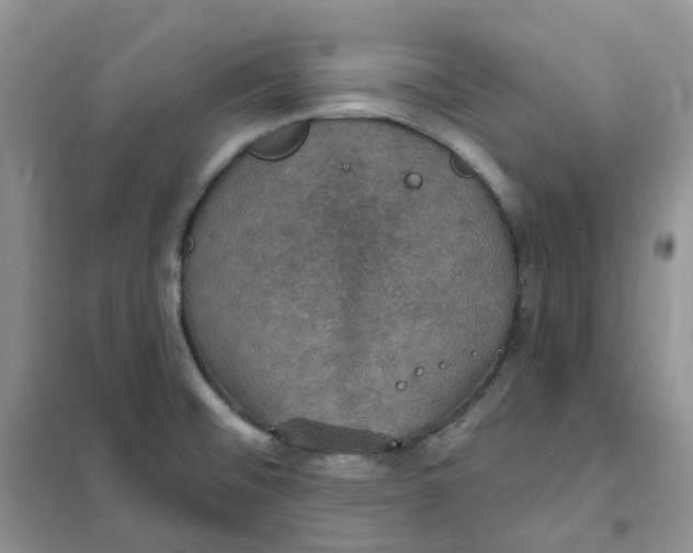 X0000102041476200808011459