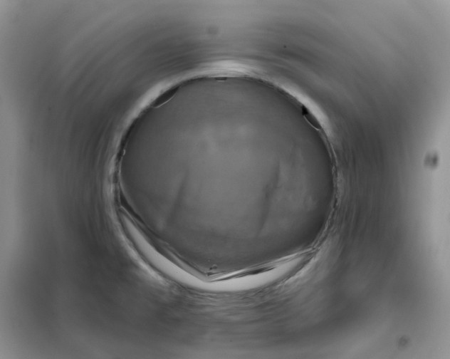 X0000102041477200808011459