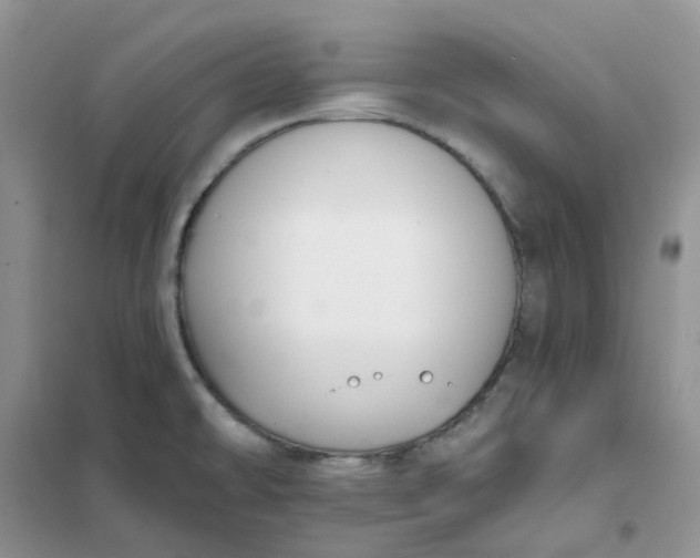 X0000102041478200808011459