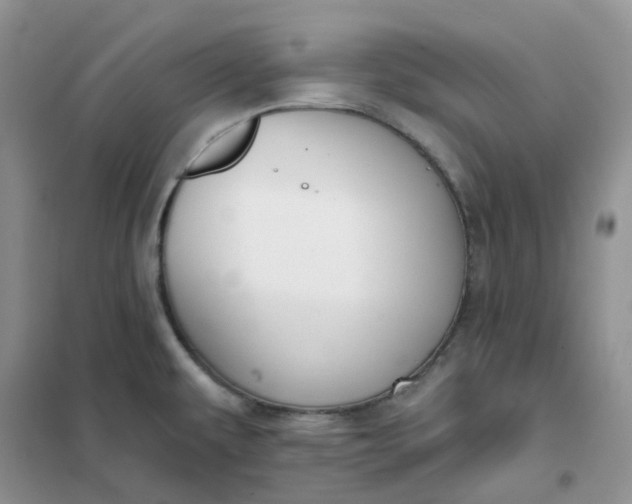 X0000102041479200808011459