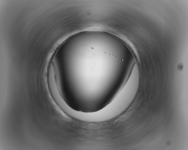 X0000102041480200808011459