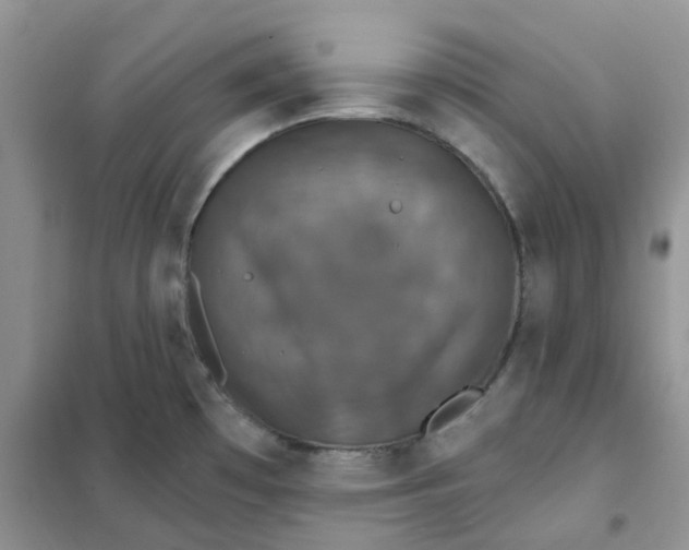 X0000102041481200808011459