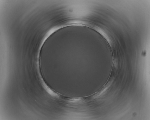 X0000102041482200808011459