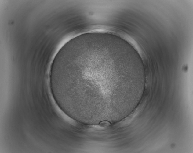 X0000102041483200808011459