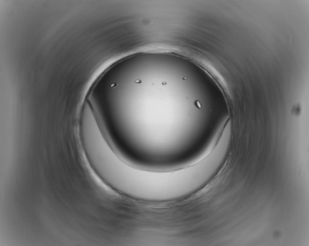 X0000102041484200808011459