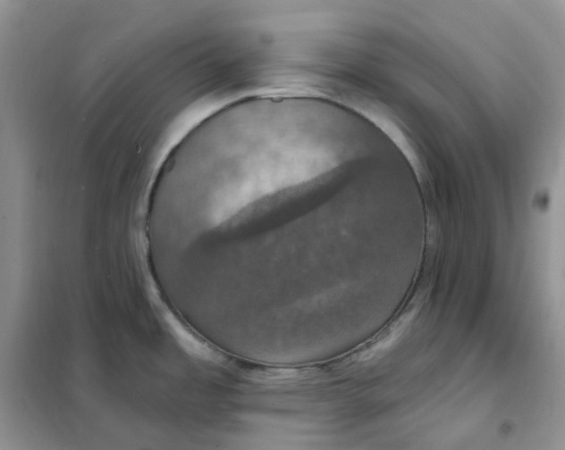 X0000102041485200808011459