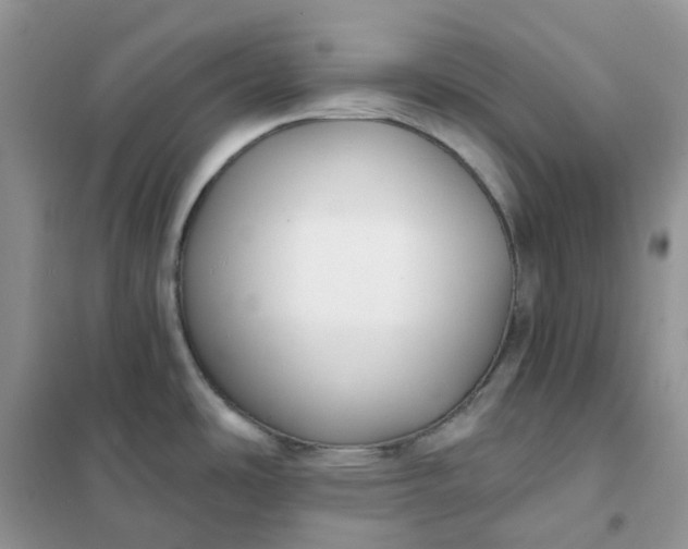 X0000102041486200808011459