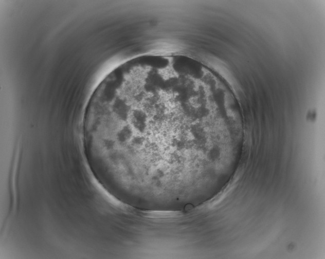 X0000102041487200808011459