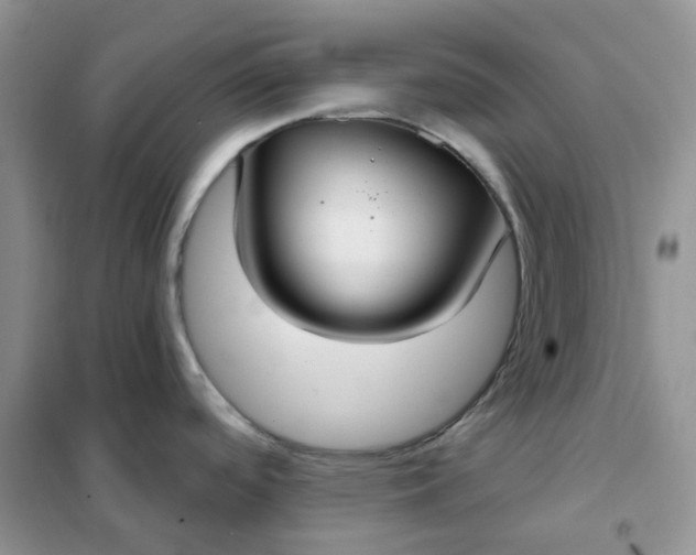 X0000102041488200808011459