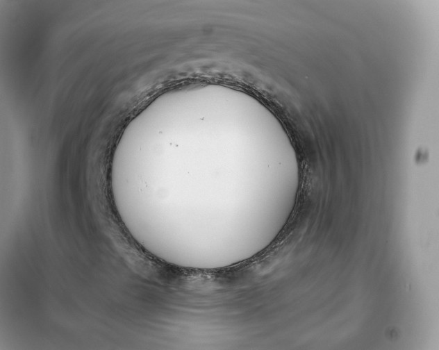 X0000102041489200808011458