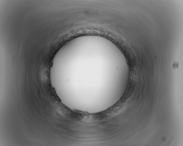 X0000102041490200808011458