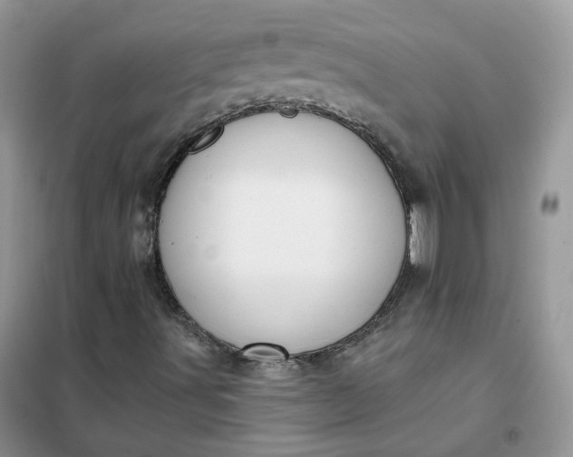 X0000102041491200808011458