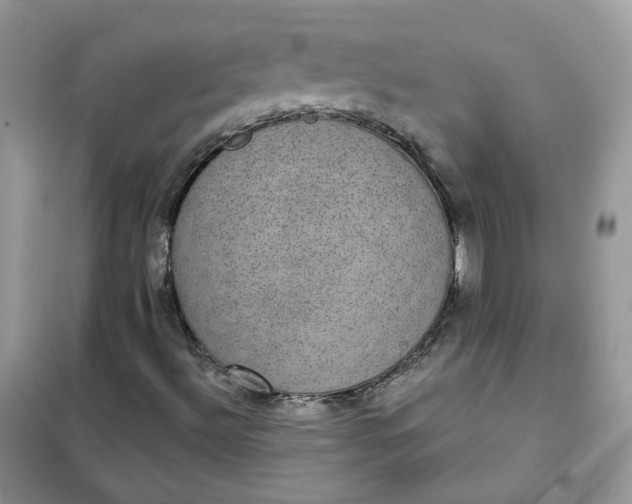 X0000102041492200808011458