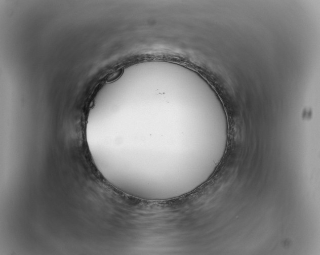 X0000102041493200808011458