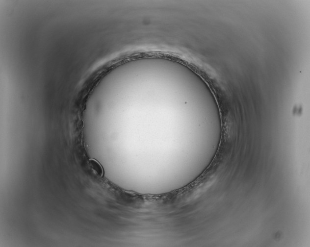 X0000102041494200808011458