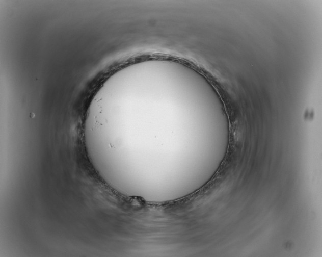 X0000102041495200808011458