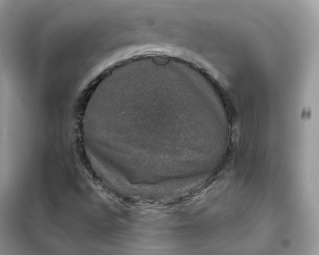 X0000102041496200808011458