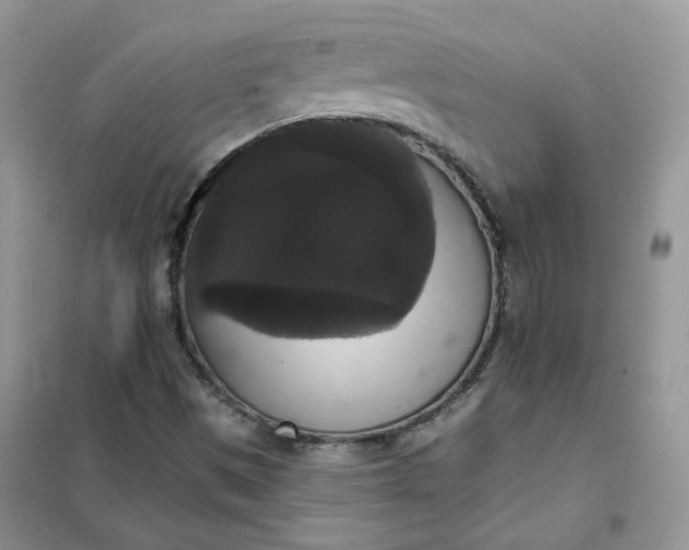 X0000102041497200808011458