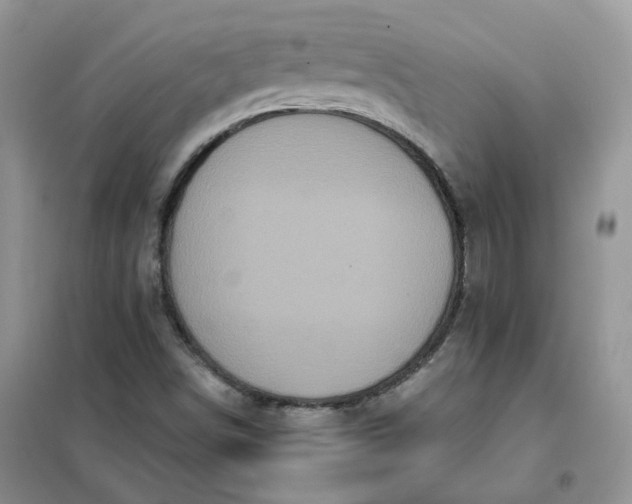 X0000102041498200808011458